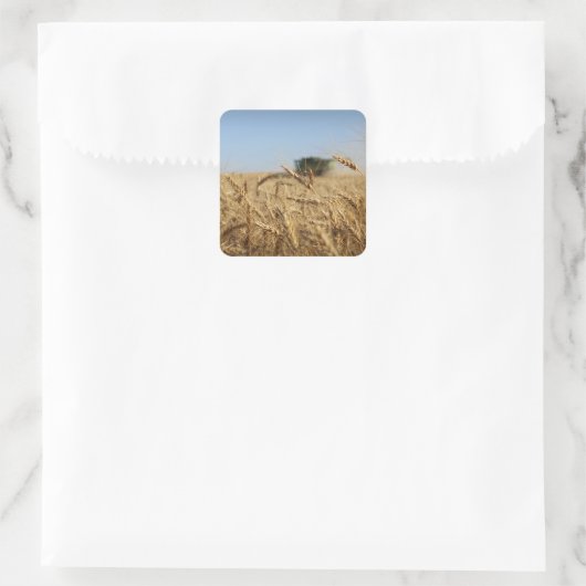 Combineren in tarweveld vierkante sticker (Tas)