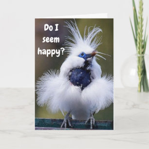 "COMEDIC BIRD" ZEGT U DAT U MISSCHIEN NIET MEER DA KAART
