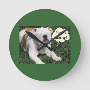 COMEDIC BULLDOG AWAKENS WALL CLOCK RONDE KLOK