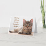 *COMEDIC CAT* VOOR MIJN *SISTER* BIRTHDAY KAART<br><div class="desc">BEDANKT VOOR OPSLAG BIJ EEN VAN MIJN ACHT STORES</div>