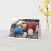 COMEDIC DOG ZEGT DIT OP VELE DAG TE DOEN KAART (Gele Bloem)