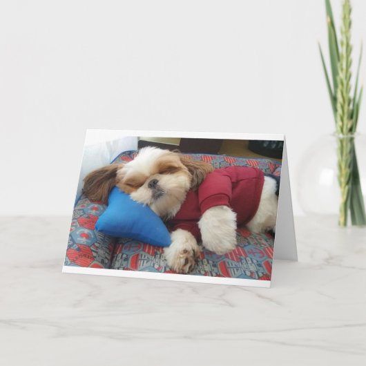 COMEDIC DOG ZEGT DIT OP VELE DAG TE DOEN KAART (Voorkant)