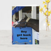 COMEDIC HORSE ZEGT: "GELUKKIGE VERJAARDAG" KAART (Gele Bloem)