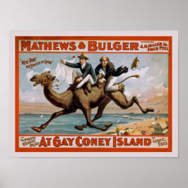 Comedy Show Advertisement Poster