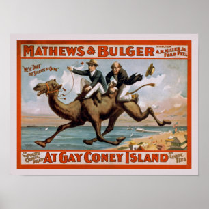 Comedy Show Advertisement Poster