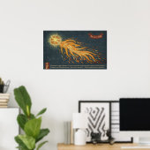 Comet Augsburg wonderboek 1552 Space Astronomy Poster (Thuiskantoor)