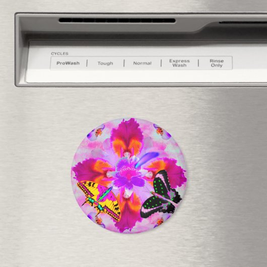 Comet Chasers per peper Magneet (Insitu (Vaatwasser))