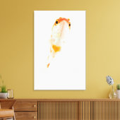 Comet/Comet-tailed goudvis Canvas Afdruk (Insitu (Woonkamer))