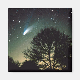 Comet Hale-Bopp en Tree Magnet