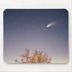 Comet Hale-Bopp Muismat
