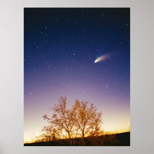 Comet Hale Bopp Poster (Voorkant)