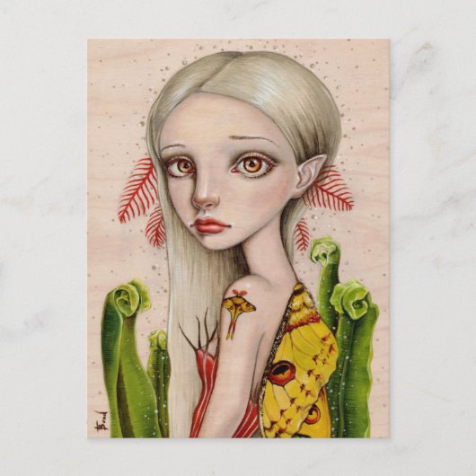 Comet Moth Briefkaart (Voorkant)