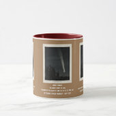 Comet Tebstuet — de Grote Comet van 1881 Mok (Midden)