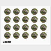 Comformeer Cozy Gator-Stickers Ronde Sticker (Vel)