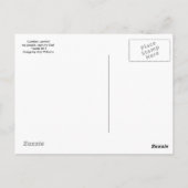 Comfort, Comfort mijn mensen Briefkaart (Achterkant)