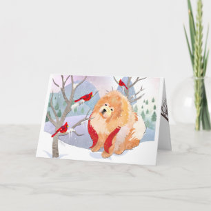 COMFORT- EN JOY-kaarten voor ruwe kaarten