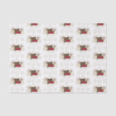 Comfort en vreugde stoel tissuepapier (Voorkant)