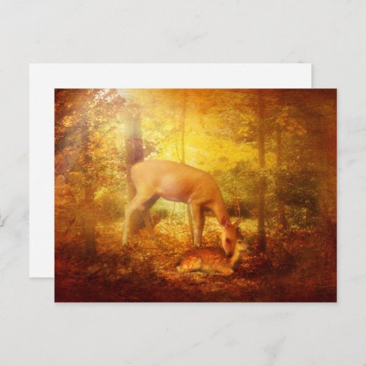 Comfort mijn mensen briefkaart (Voorkant / Achterkant)