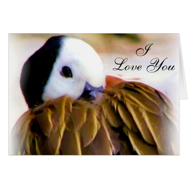 Comfort of love_ (Voorkant Horizontaal)