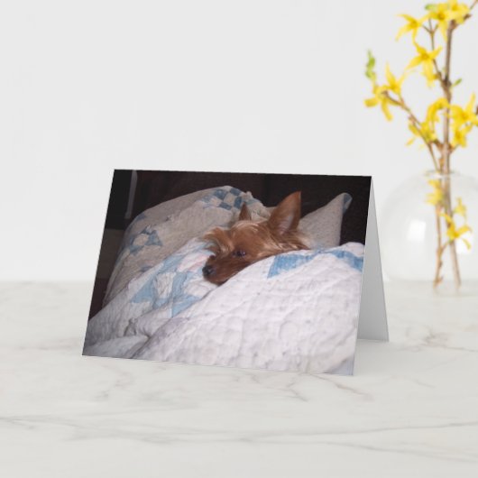 Comfort van Alfie Kaart (Gele Bloem)