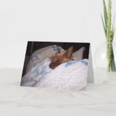 Comfort van Alfie Kaart (Voorkant)