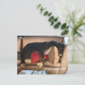 Comfortabel Borzoi-Briefkaart Briefkaart (Staand voorkant)