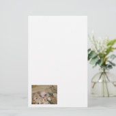 Comfortabel Chihuahua Stationery Briefpapier (Staand voorkant)