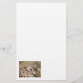 Comfortabel Chihuahua Stationery Briefpapier (Voorkant)