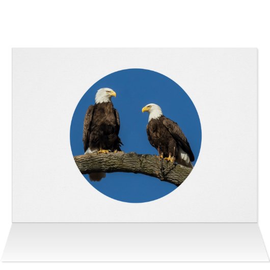 Comfortabel om u heen (Binnen Horizontaal (Boven))