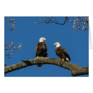 Comfortabel om u heen