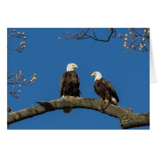 Comfortabel om u heen (Voorkant Horizontaal)