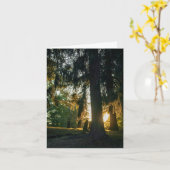 Comfortabele zonsondergang kaart (Gele Bloem)