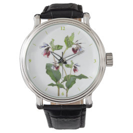 Comfrey. Horloge