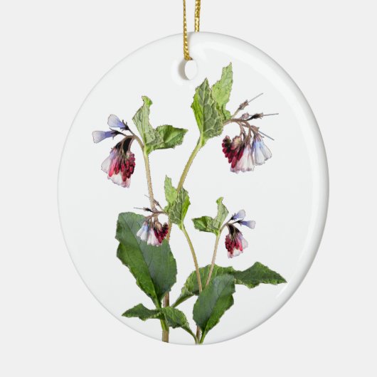 Comfrey. Keramisch Ornament (Links)