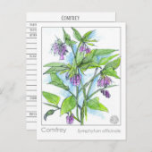 Comfrey Materia Medica Herbal Study Plant Kaart (Voorkant / Achterkant)