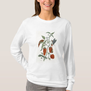 Comfrey uit 'A Curious Herbal', 1782 (color eng T-shirt