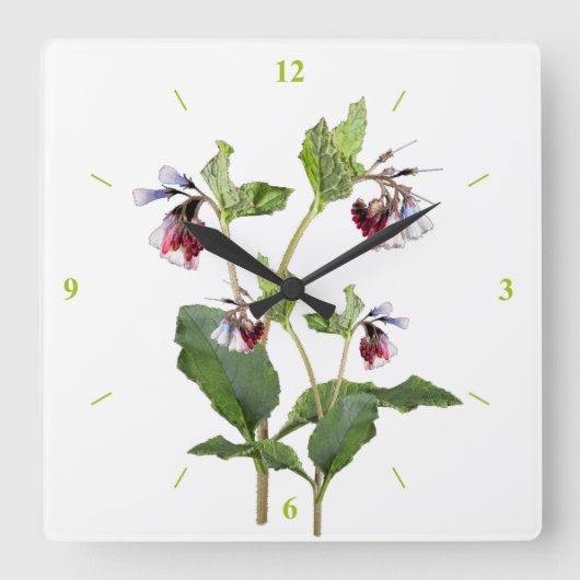 Comfrey. Vierkante Klok (Voorkant)