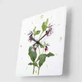 Comfrey. Vierkante Klok (Hoek)