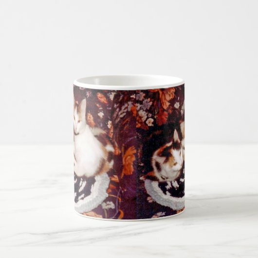 Comfy Cats Mok (Center)