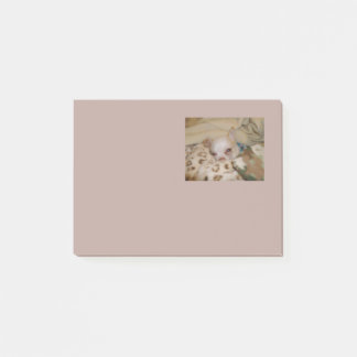 Comfy Chihuahua-notities Post-it® Notes