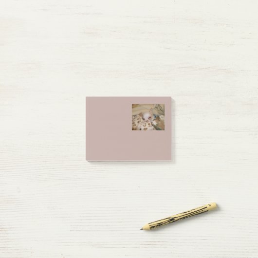 Comfy Chihuahua-notities Post-it® Notes (Op bureau)