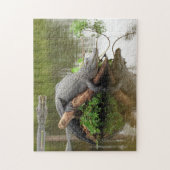 Comfy Cozy Gator Puzzle Legpuzzel (Verticaal)