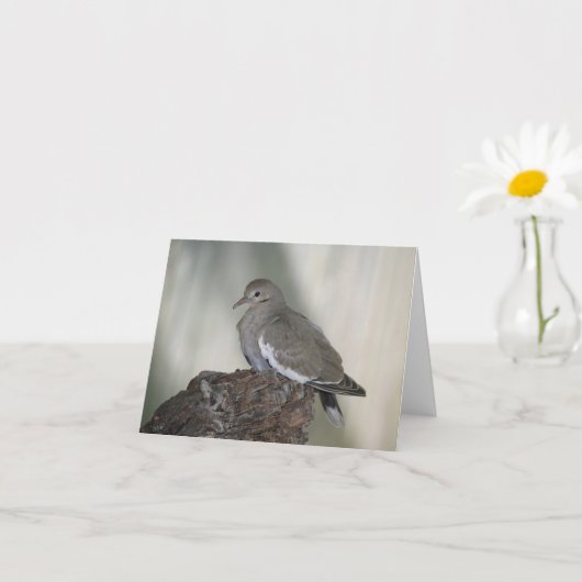 Comfy Dove Inspirerend Note Kaart (Kleine Plant)