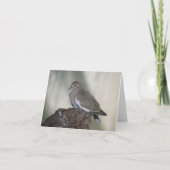 Comfy Dove Inspirerend Note Kaart (Voorkant)
