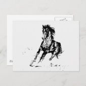 Comic Drawing Horse Briefkaart (Voorkant / Achterkant)