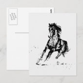 Comic Drawing Horse Briefkaart (Voorkant / Achterkant)
