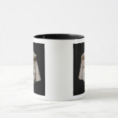 Comic-masker Mok (Midden)