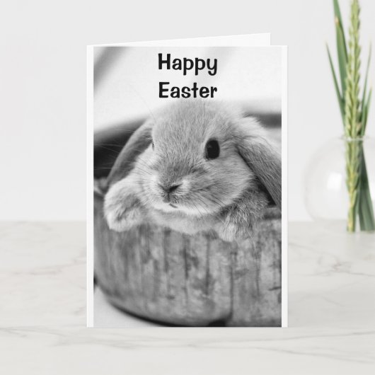 COMICAL BUNNY SAYS **MAKKELIJKER** HOLIDAIRE KAART (Voorkant)