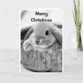 COMICAL BUNNY SAYS **MERRY CHRISTMAS ** FEESTDAGEN KAART (Voorkant)