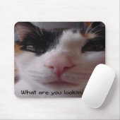 Comical Calico Mousepad Muismat (Met muis)